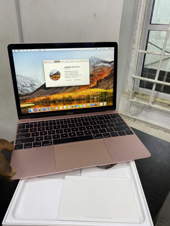 Laptop Apple MacBook 8GB Intel Core M SSD 256GB